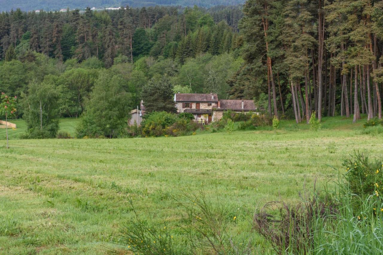 Moulin Des Comtes - Chambre Des Comtes Viverols Esterno foto